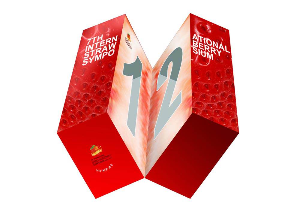 7TH INTERNATIONAL STRAWBERRY
