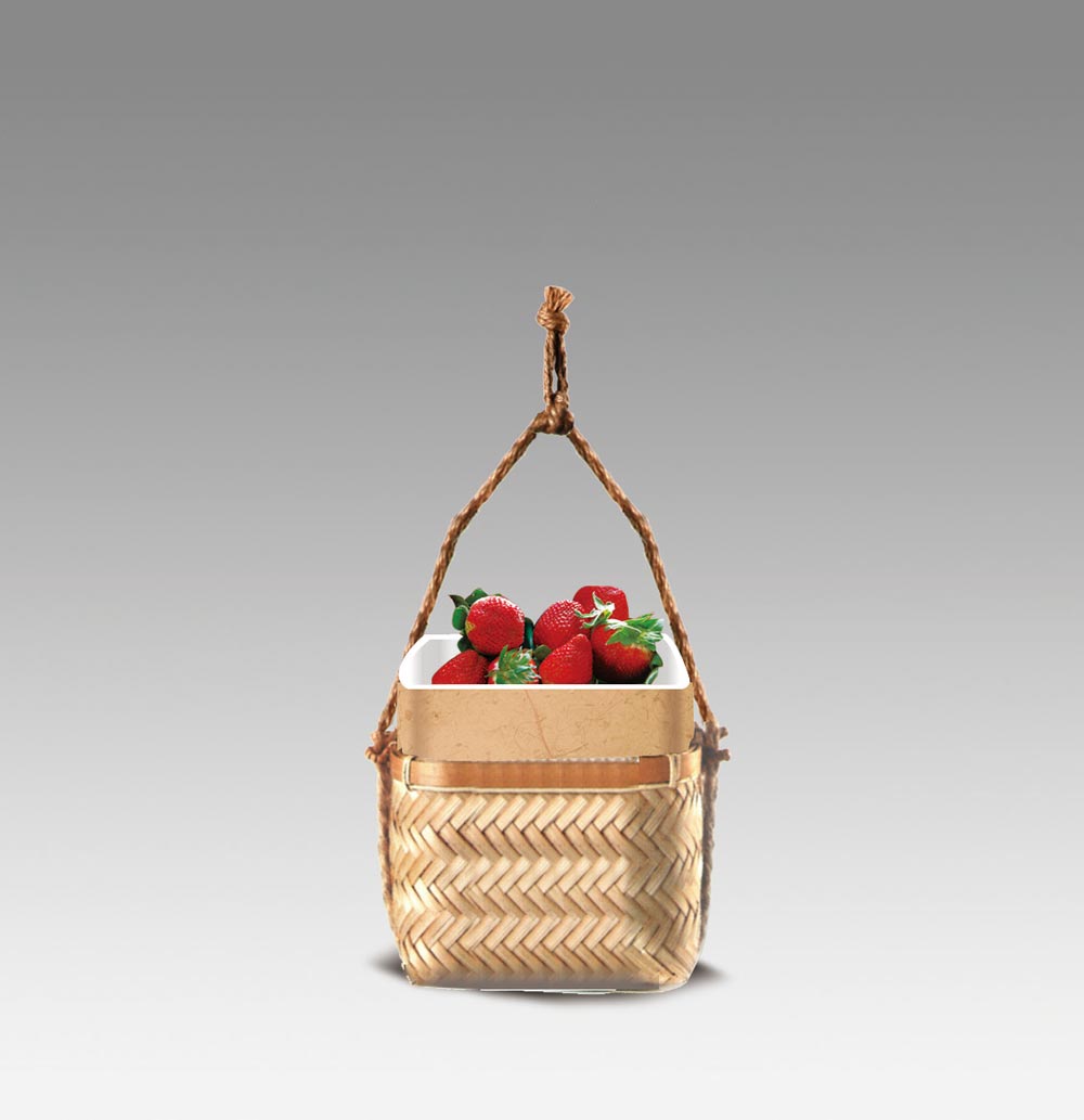 7TH INTERNATIONAL STRAWBERRY